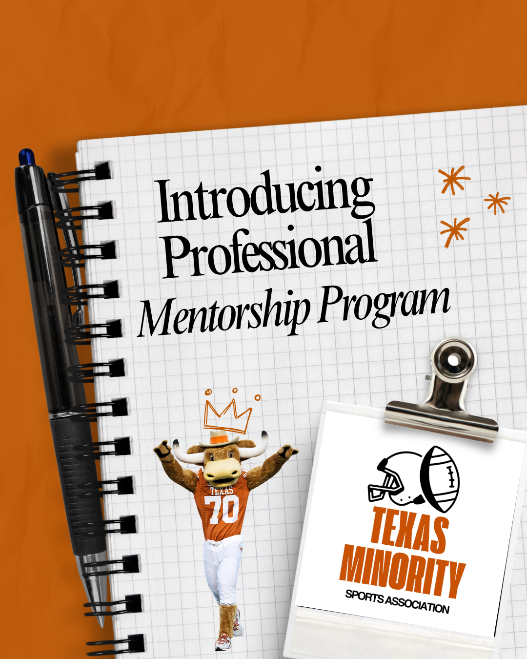 TMSA Professional Mentorship Program